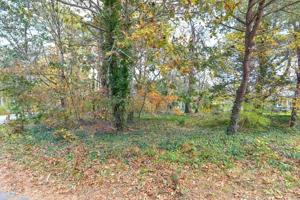 16 Wild Rose Terrace