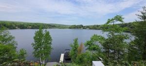 15 Pine Trail