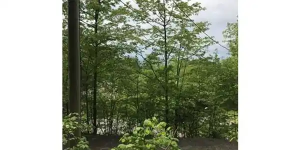 Lot 3 Reservation