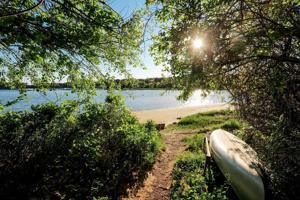 50 Thorwald Dr