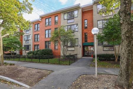 38 Juniper