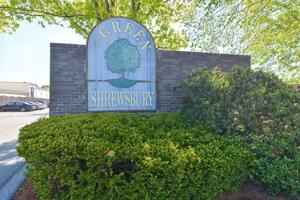 62 Shrewsbury Green Dr
