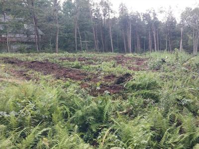 TS12 &TTR8 Slope Rd & Traaack