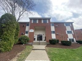 6 Dailey St