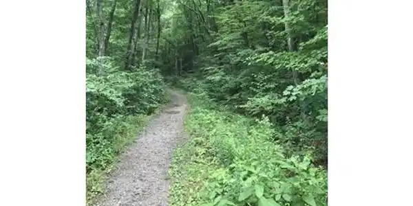 Lot 4 Reservation Road