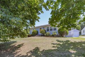 65 Leatherleaf Dr