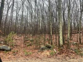 83 Chickering Rd
