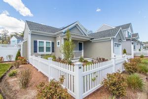 50 Cottage Lane