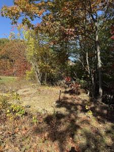Lot 2 Birch St