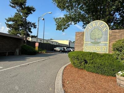8 Shrewsbury Green Dr