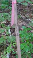 Lot 2 Elm St.