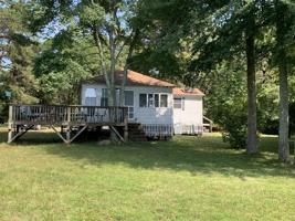 54 Shady Lane