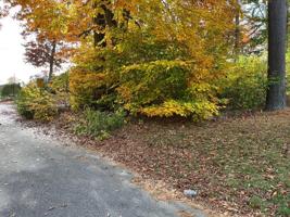 0 Hickory Road