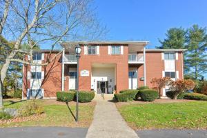 7 Dailey St