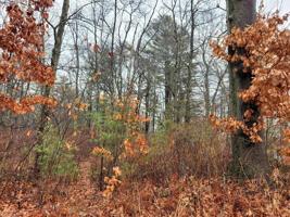 159 Lakeside Road