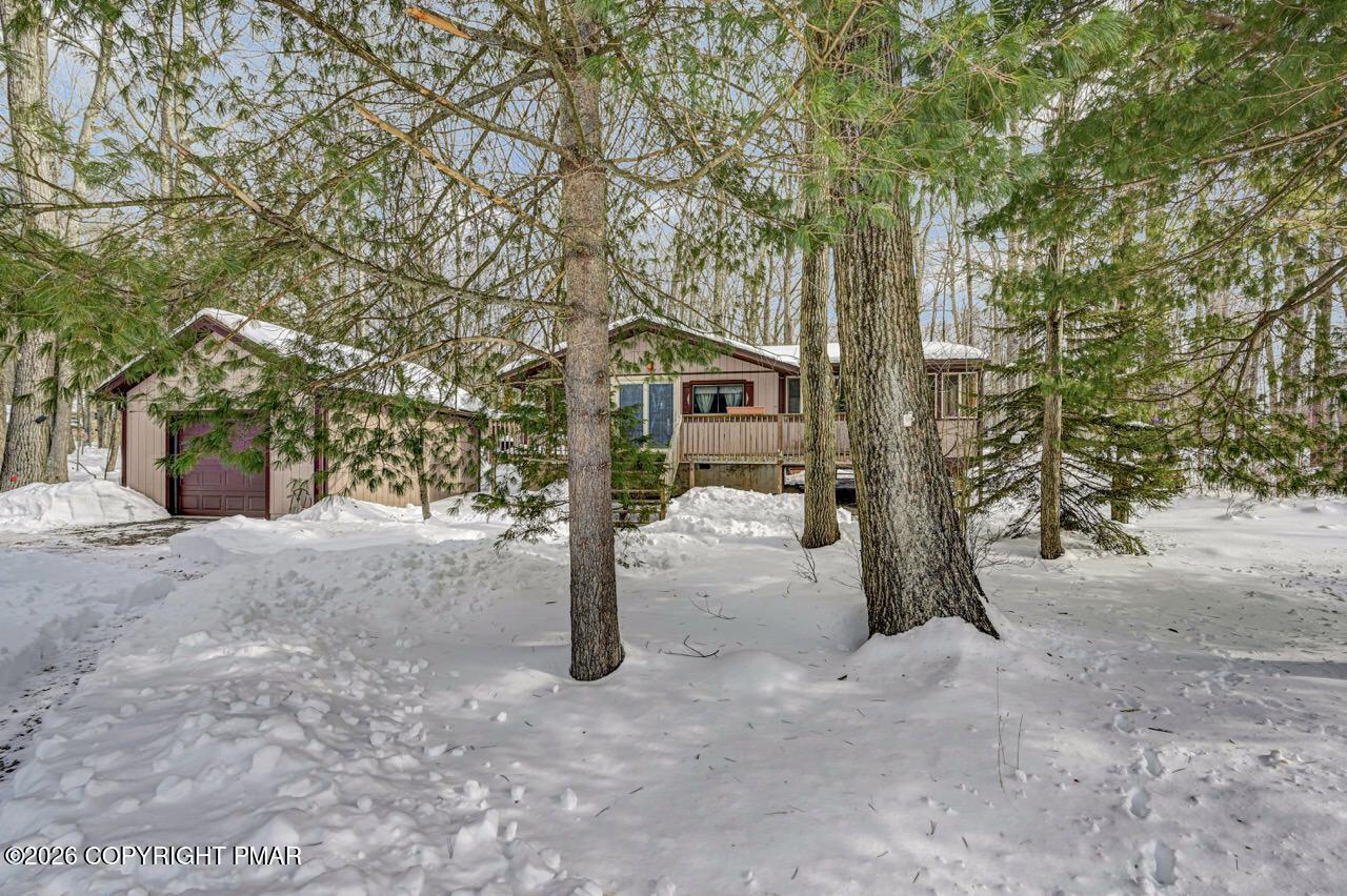 Image 3: Tree-Lined Private Setting