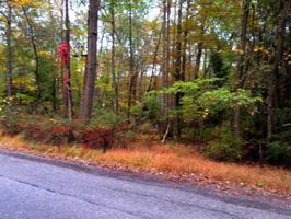 Lot 19 LAKE Drive
