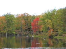 F-815 Lake Drive East