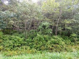 Lot 5910 Mountain Laurel (Wild Laurel) Dr