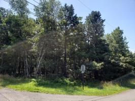 Caedman Drive & Berryman Ln
