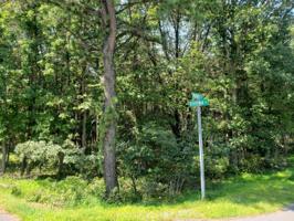 Maccauley Road & Berryman Ln