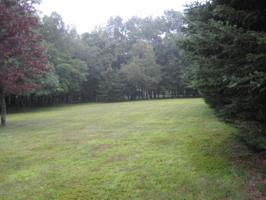506 Sassafras Rd