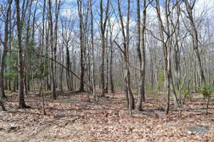 Sky Hawk Trail 2