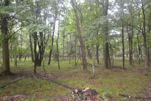 D1742 Old Stage Road