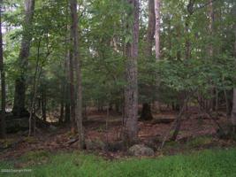 Lot 69 Skyline Dr
