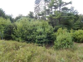 Twp 644 4 -1 Pocono Crest Road