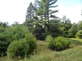 Twp Rd 644 4-2 Pocono CrestRd Road