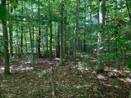 Lots 60/61 Fox Run