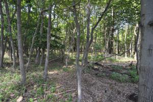 Lot D2123 Lindbergh Cir