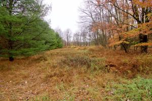 Lot 354 Shakespeare Dr