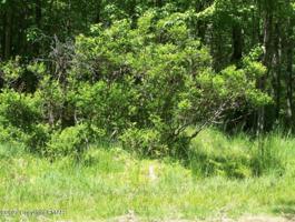 MOHICAN TRAIL 12