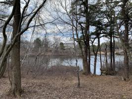 Lot# 781 English Ivy Court
