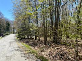 5 Skippack Tr Dr
