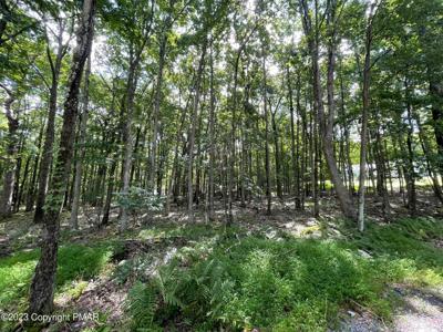 FVI35 Kilmer Trail