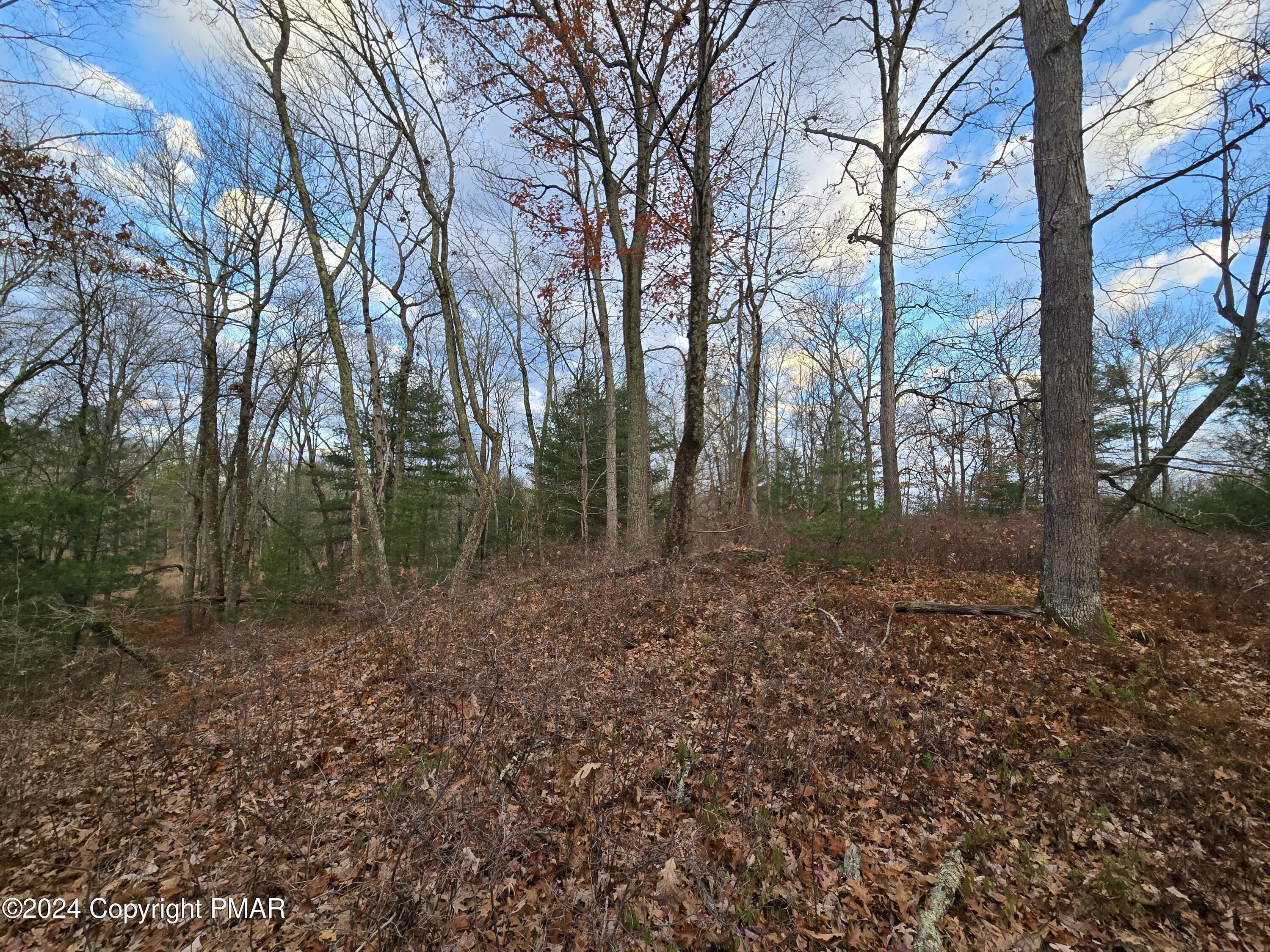 Image 4: Wooded Lot 2