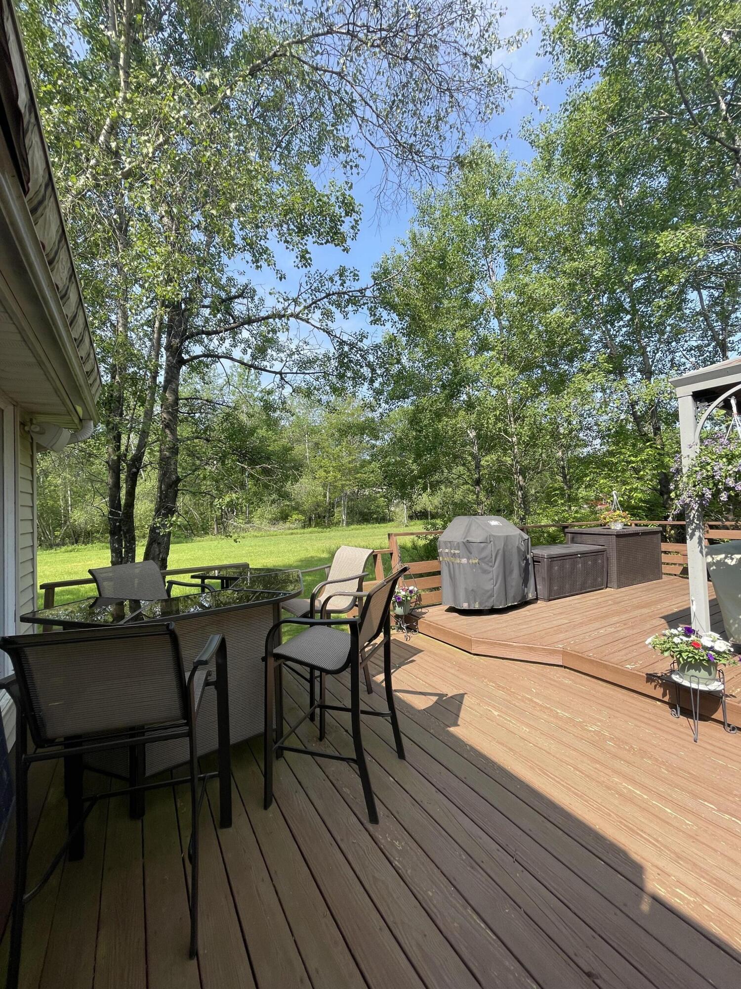 Image 3: teel deck 1