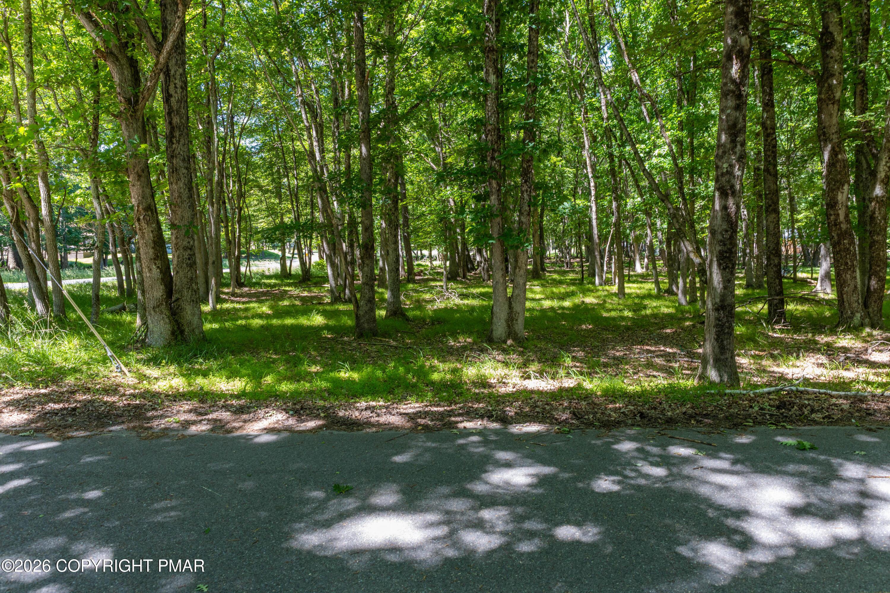 Image 4: 5 - MountainRd-3