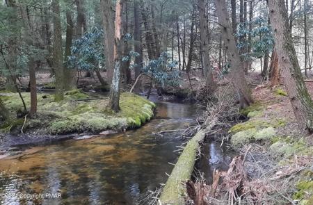 EV373,374 Towamensing Trail