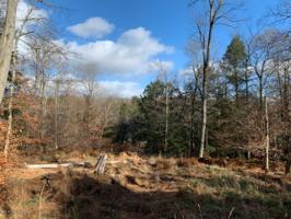 D22TR Trail Ridge Rd