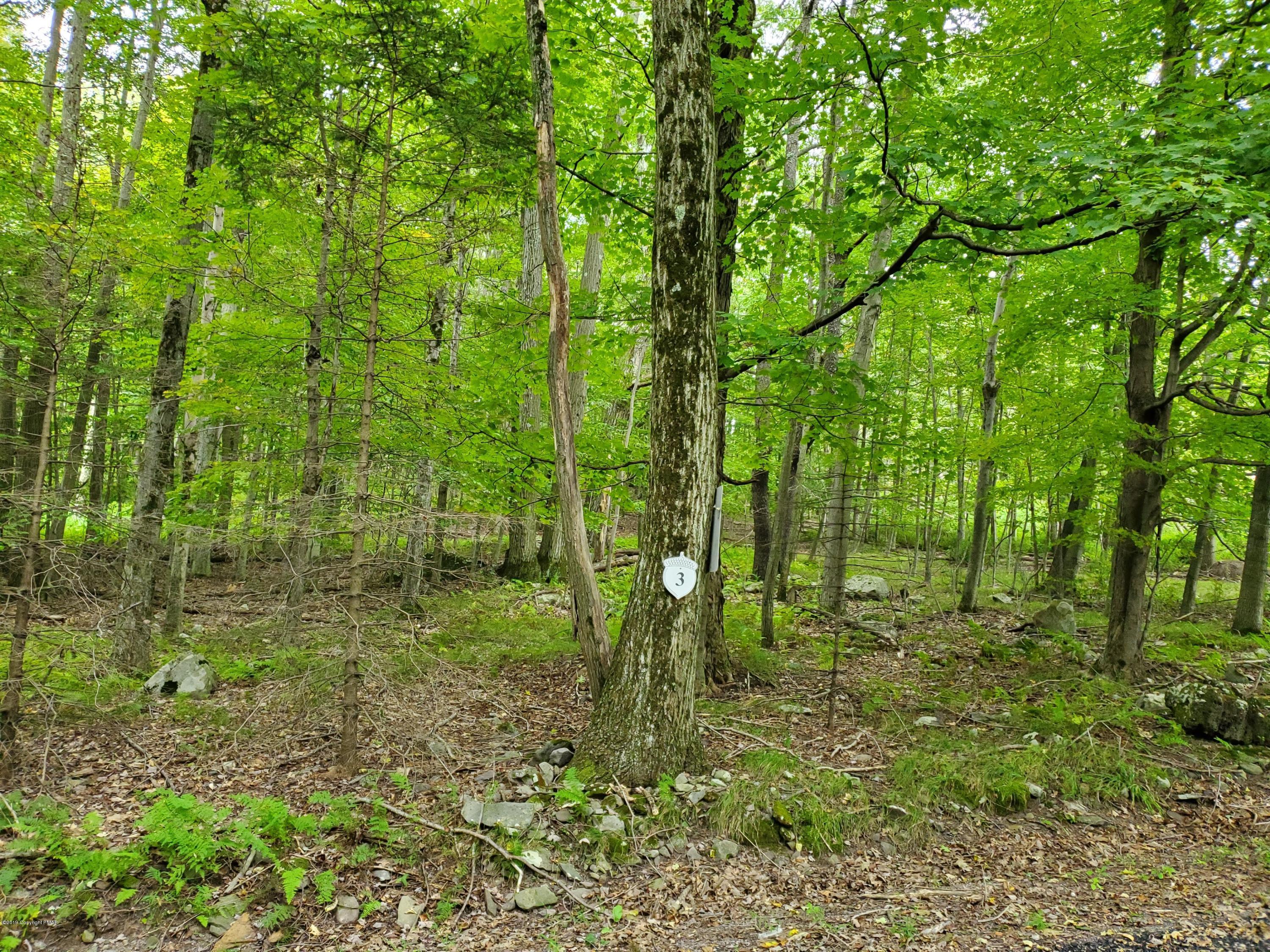 Image 1: Lot 3
