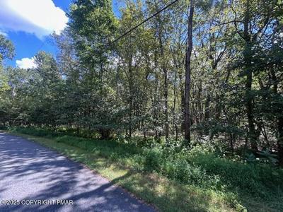 Lot 20ALAS Piney Woods Drive