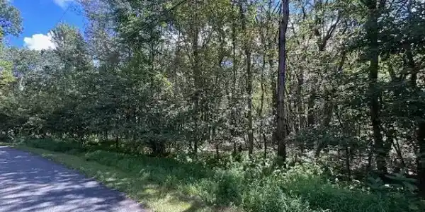Lot 20ALAS Piney Woods Drive
