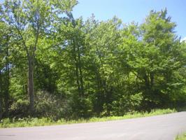 H14 Wolf Hollow Rd