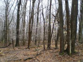 901 Deer Run Road