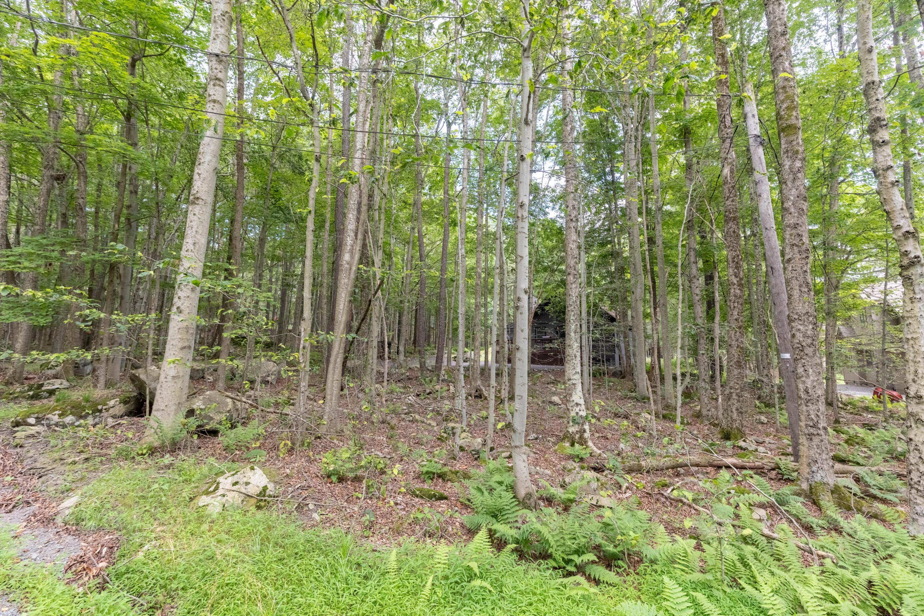 Image 3: Outdoors-3