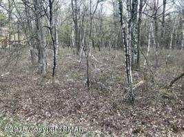 Lot 39 Forest Hill DR